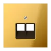 Крышка для сдвоенной телефонной и компютерной розетки  UAE; металл цвета золота GO2969-2UA Jung