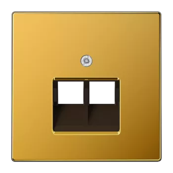 Крышка для двойной телефонной и компьютерной розетки UAE; золото LS969-2UAGGO Jung