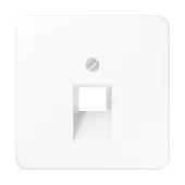 Крышка для ординарной телефонной и компютерной розетки  UAE; белая CD569-1UAWW Jung