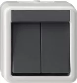 Gira wg ap Выключатель двуклавишный IP44, серый