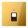 Крышка для ординарной телефонной и компютерной розетки  UAE; металл цвета золота GO2969-1UA Jung