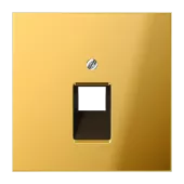 Крышка для ординарной телефонной и компютерной розетки  UAE; металл цвета золота GO2969-1UA Jung