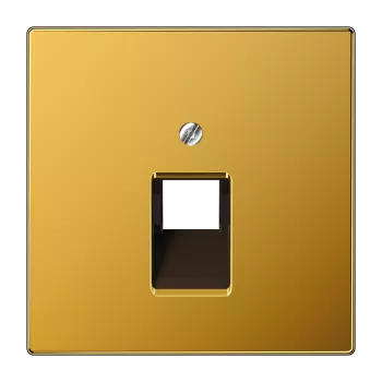 Крышка для одинарной телефонной и компьютерной розетки UAE; золото LS969-1UAGGO Jung