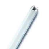 L 30W/640 (холодный белый) 25X1 - лампа люминесцентнаяT8, диаметр 26мм, Osram