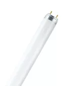 L 6W/640 (холодный белый) 25X1 - лампа люминесцентнаяT8, диаметр 26мм, Osram