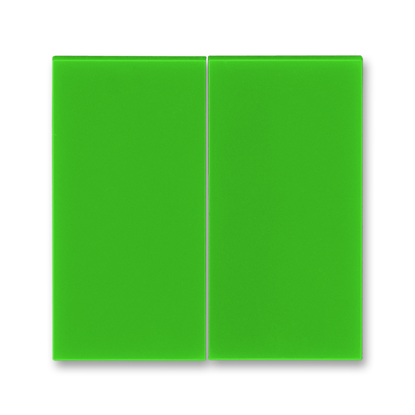 ABB Levit зелёный Сменная панель на клавиши для выключателя 2-х клавишного