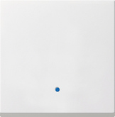 

Gira st.55 Сенсорная накладка для светорегуляторов System 2000