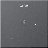 

Gira SYSTEM 55 Глухая крышка для вставки док-станции
