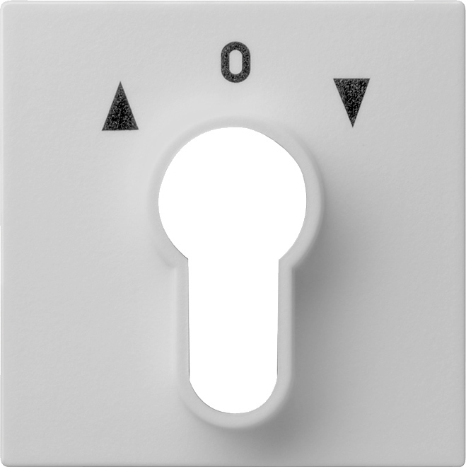 

Gira Накладка выключателя с ключом, Серый, System 55