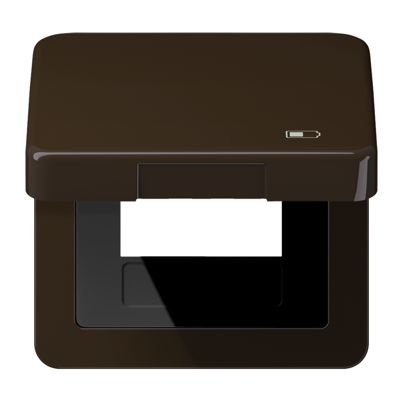 

Рамка с подпружиненной крышкой для USB-механизмов, с центральной платой CD590KLUSBBR Jung, Коричневый, CD